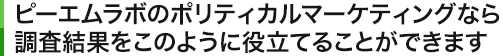 ピーエムラボのポリティカルマーケティングなら調査結果をこのように役立てることができます